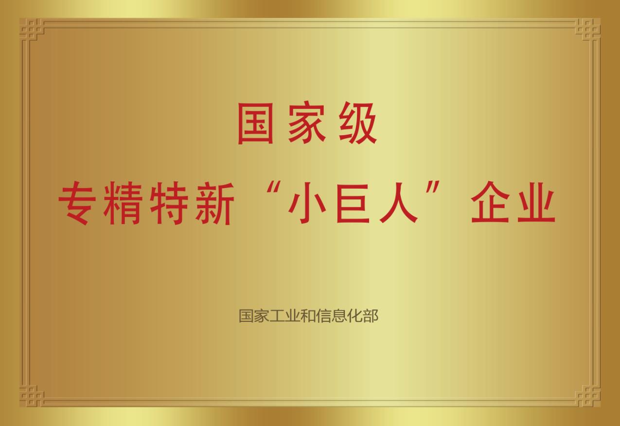 國(guó)家級(jí)專精特新“小巨人”企業(yè)